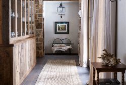 Tellus Vestibulum Condimen 4